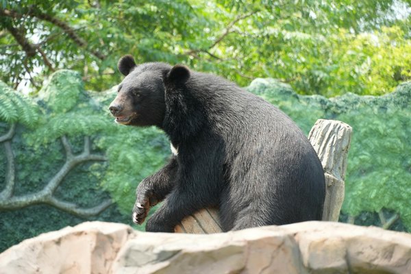 Mentaliste lyon : découvrez l'art de la manipulation mentale